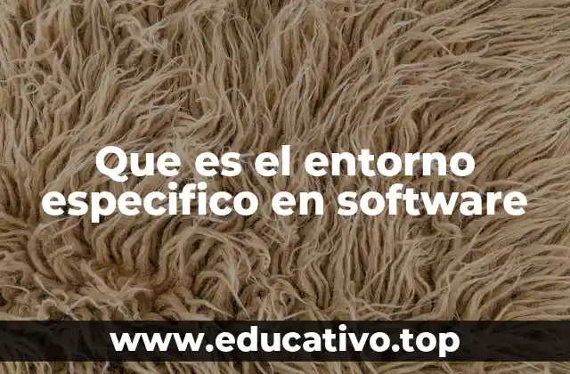 Que es el entorno especifico en software