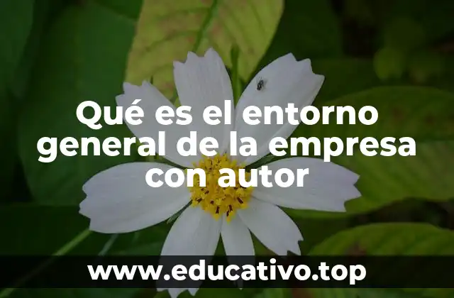 Qué es el entorno general de la empresa con autor