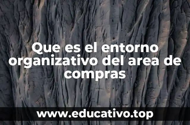 Que es el entorno organizativo del area de compras