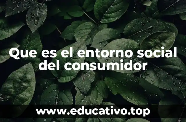 Que es el entorno social del consumidor