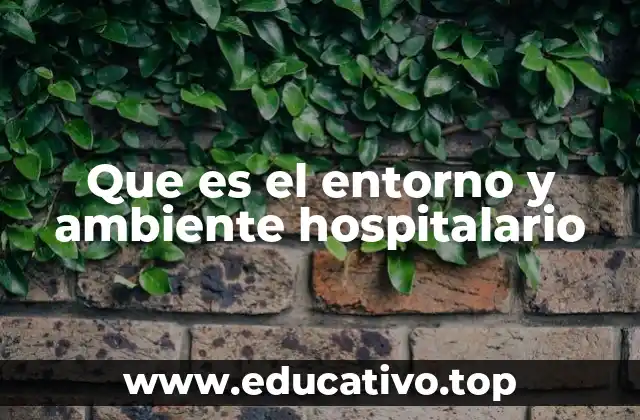 Que es el entorno y ambiente hospitalario