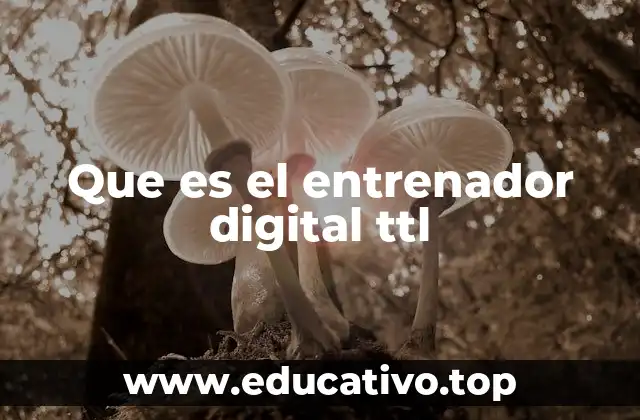 Que es el entrenador digital ttl