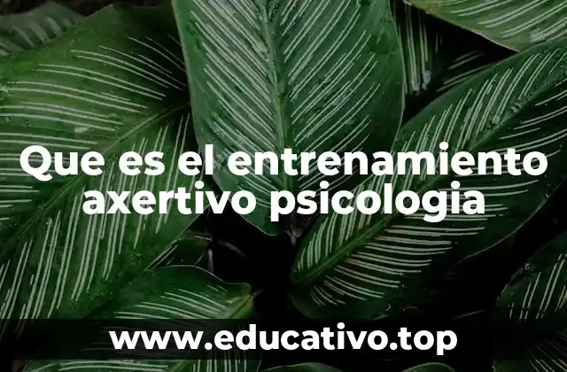 Que es el entrenamiento axertivo psicologia