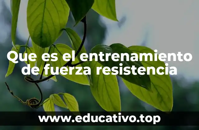 Que es el entrenamiento de fuerza resistencia