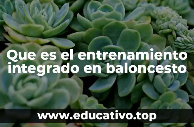 Que es el entrenamiento integrado en baloncesto