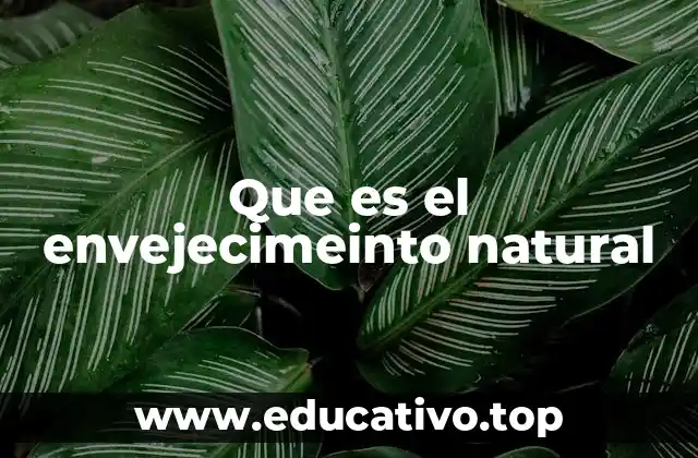 Que es el envejecimeinto natural