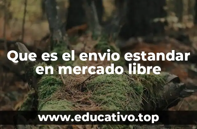 Que es el envio estandar en mercado libre