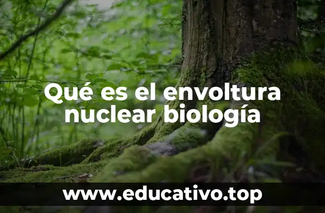 Qué es el envoltura nuclear biología