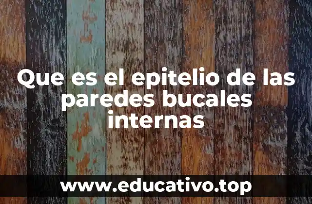 Que es el epitelio de las paredes bucales internas