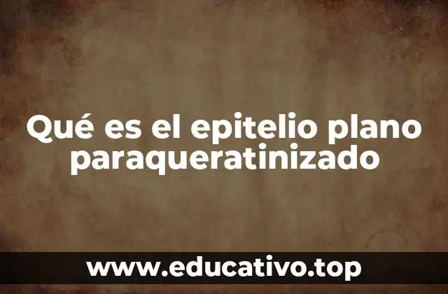 Qué es el epitelio plano paraqueratinizado