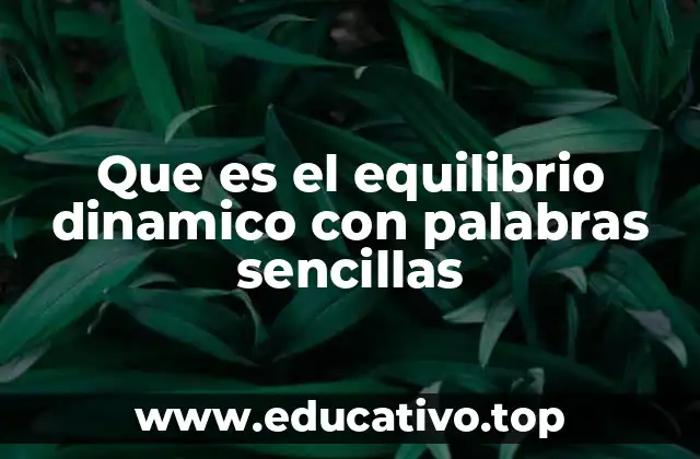 Equilibrio dinámico y su papel en la vida cotidiana