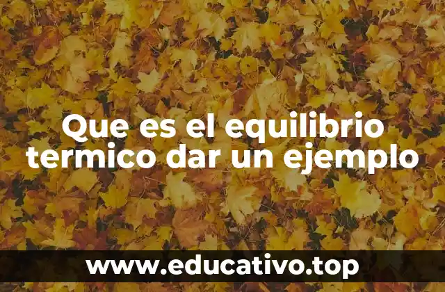Cómo se logra el equilibrio térmico en sistemas físicos