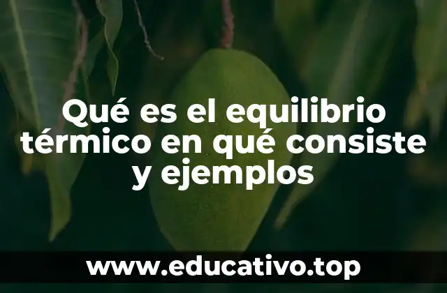 Qué es el equilibrio térmico en qué consiste y ejemplos