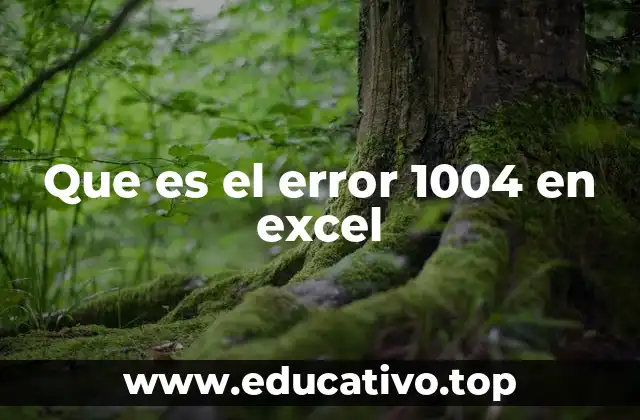 Que es el error 1004 en excel