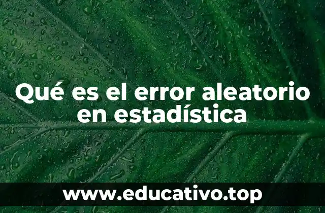 La importancia del error aleatorio en la toma de decisiones estadísticas