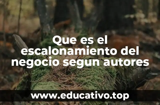 Que es el escalonamiento del negocio segun autores