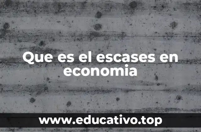 Que es el escases en economia