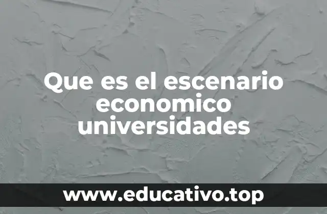 Que es el escenario economico universidades