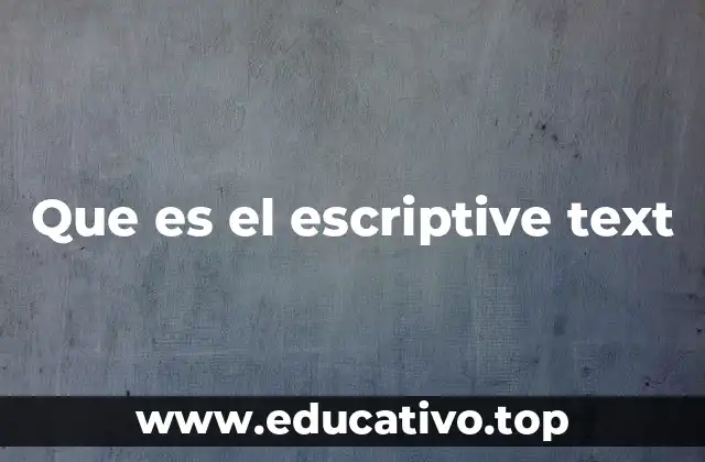 Que es el escriptive text