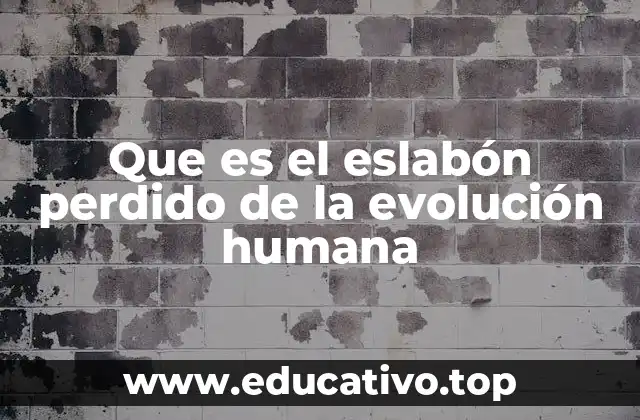 Que es el eslabón perdido de la evolución humana