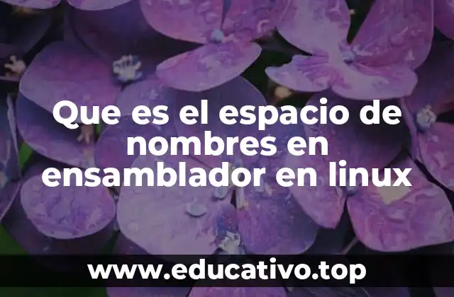 Que es el espacio de nombres en ensamblador en linux