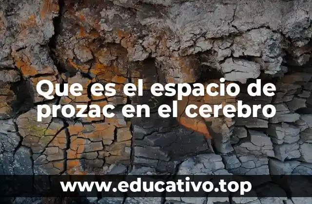 Que es el espacio de prozac en el cerebro