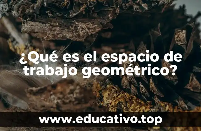 ¿Qué es el espacio de trabajo geométrico?