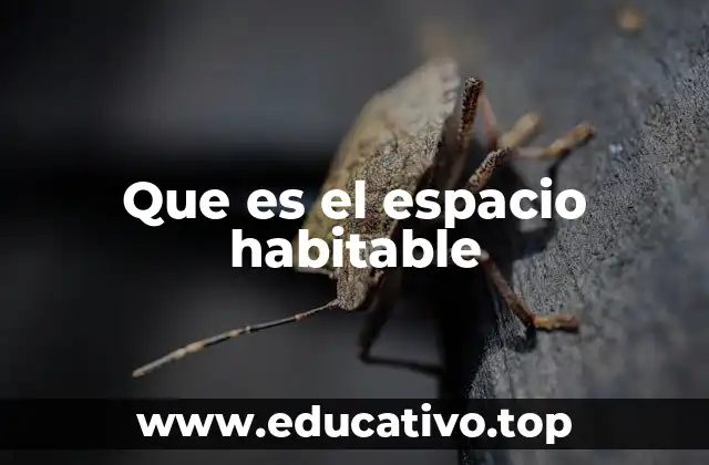 Que es el espacio habitable