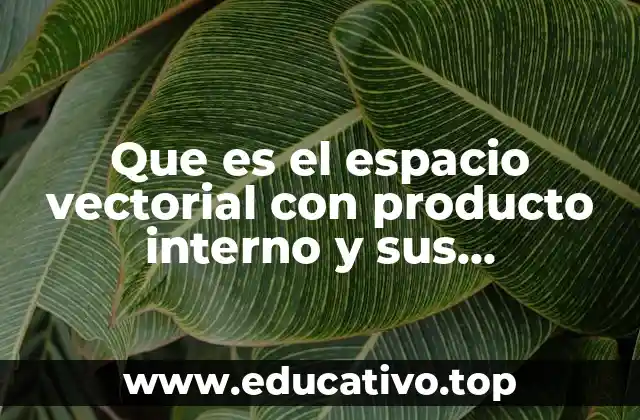 Que es el espacio vectorial con producto interno y sus propiedades