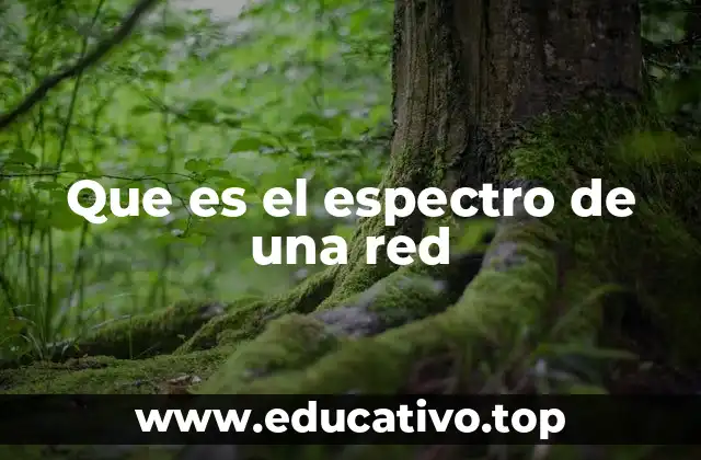 Que es el espectro de una red