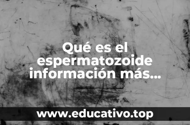 Qué es el espermatozoide información más importante para niños