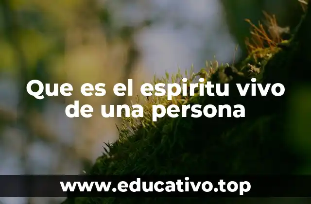 Que es el espiritu vivo de una persona