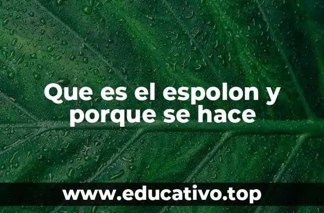 Que es el espolon y porque se hace