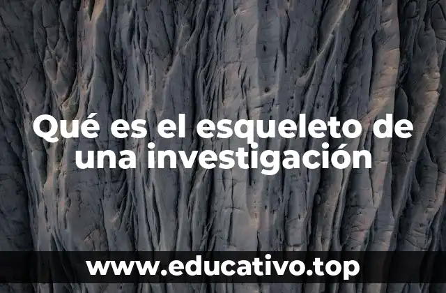 Cómo la estructura base define la calidad de un estudio