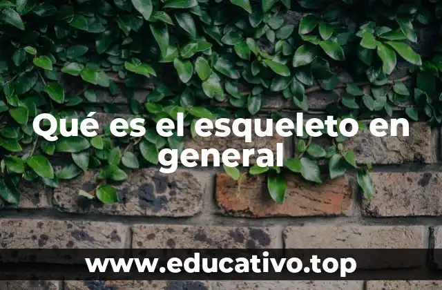 Qué es el esqueleto en general