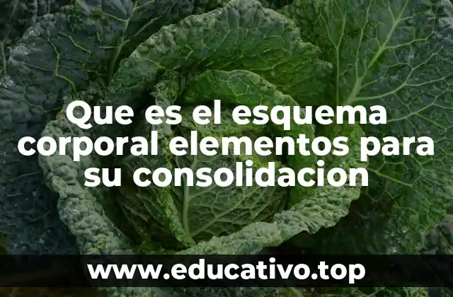 Que es el esquema corporal elementos para su consolidacion