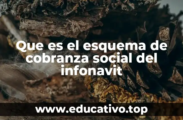 Que es el esquema de cobranza social del infonavit
