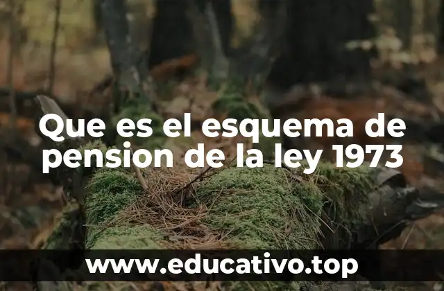 Que es el esquema de pension de la ley 1973