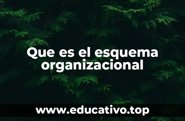 Que es el esquema organizacional