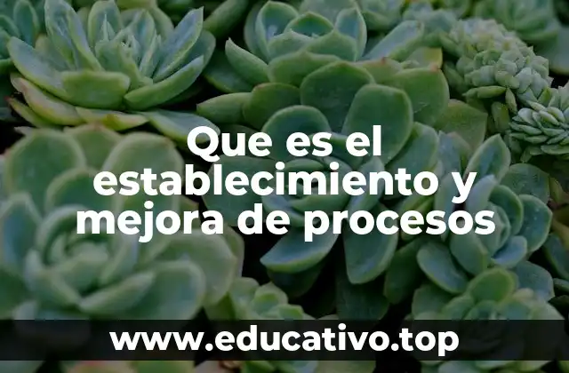 Que es el establecimiento y mejora de procesos