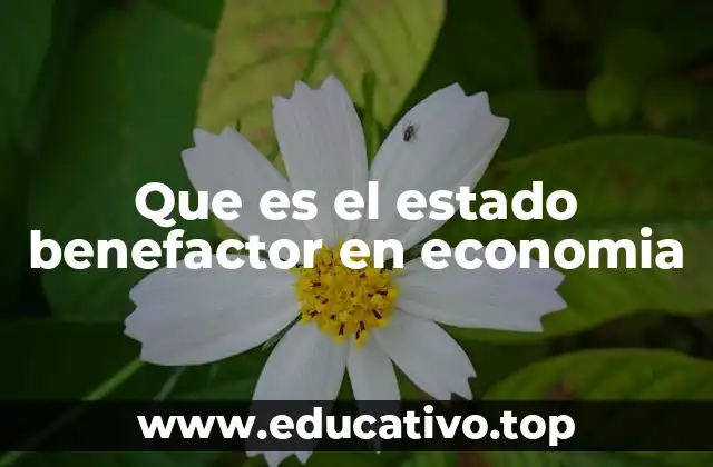 Que es el estado benefactor en economia