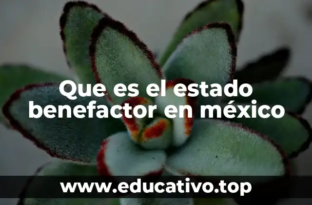 Que es el estado benefactor en méxico