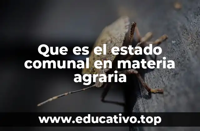 Que es el estado comunal en materia agraria