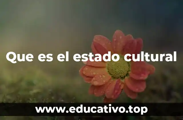 Que es el estado cultural