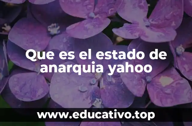 Que es el estado de anarquia yahoo