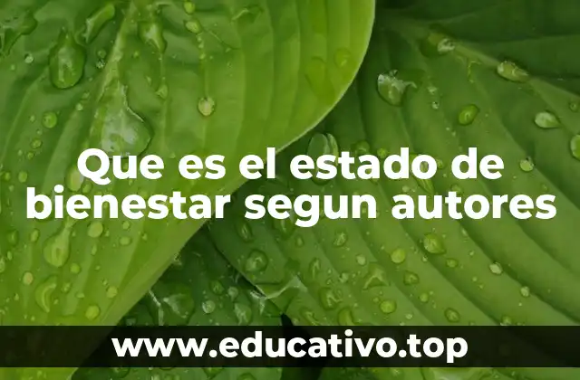 Que es el estado de bienestar segun autores