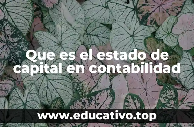 Que es el estado de capital en contabilidad