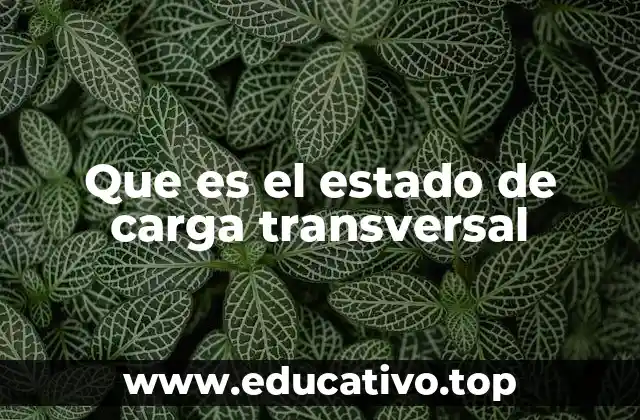 Que es el estado de carga transversal
