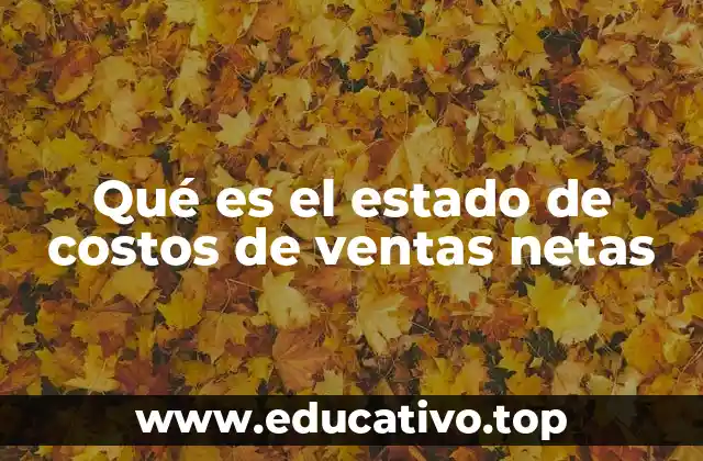 Qué es el estado de costos de ventas netas