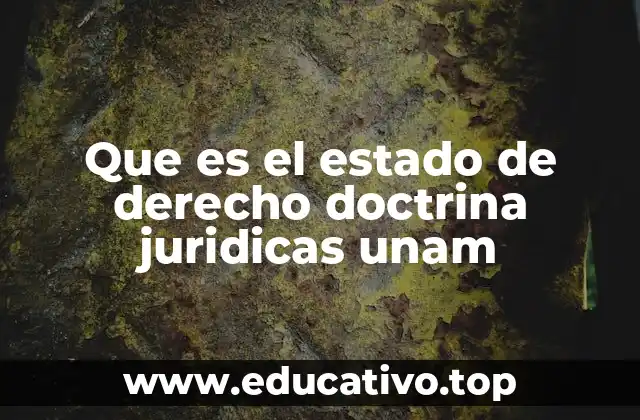 Que es el estado de derecho doctrina juridicas unam